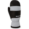 Baron Gore-Tex Mitts - Griffin - Griffin - Men's Snowboard & Ski Mitten | Dakine