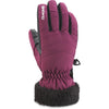 Alero Glove - Youth - Grape Vine - Kids' Snowboard & Ski Glove | Dakine